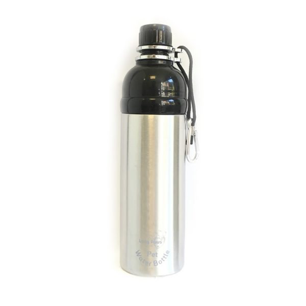 goodlifegear-silverwaterbottle750