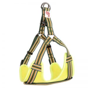 Long Paws Comfort Collection - Green Harness
