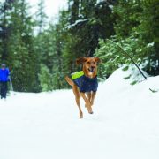 Ruffwear lifestyle shoot FW13
photos © 2013 Ben Moon