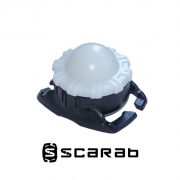 scarab-1 copy