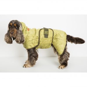 HX4-SICCARO_20160120_014 HX4-SICCARO_20160120_014